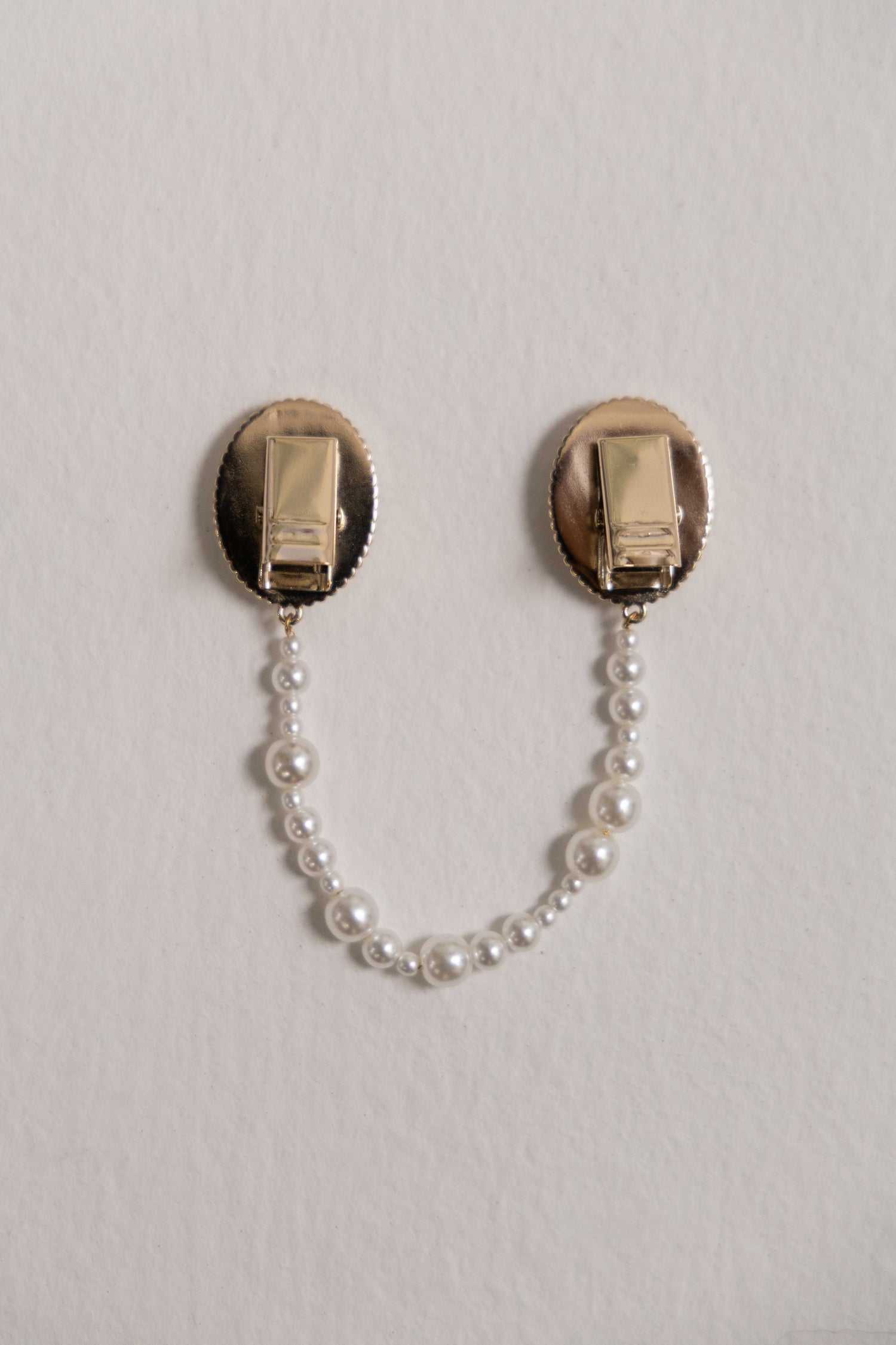 Classical rose painting clip